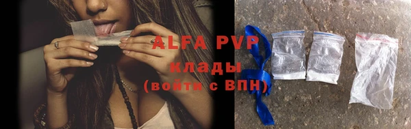 apvp Богородицк