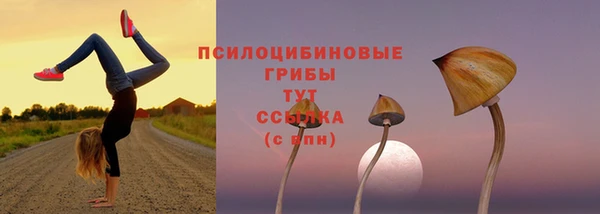 apvp Богородицк