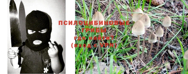 apvp Богородицк