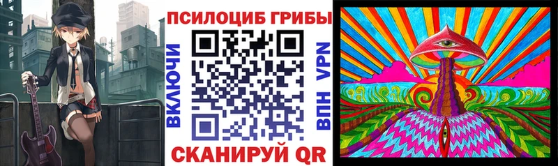 Купить  Рузаевка  Псилоцибиновые грибы Cubensis 